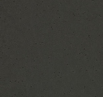 Линолеум Forbo Sphera Energetic 50203 pitch black фото 1 | FLOORDEALER